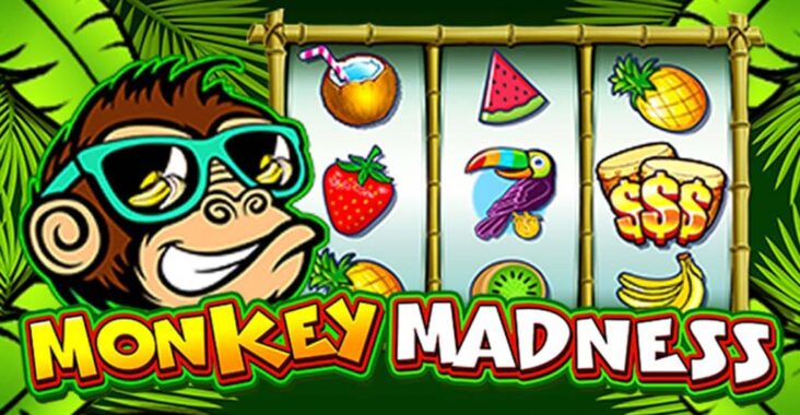 Kaya Mendadak Dengan Main Game Slot Monkey Madness di Situs Casino Online GOJEKGAME